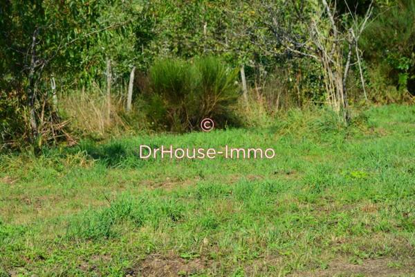 Terrain à vendre de 1 590 m²