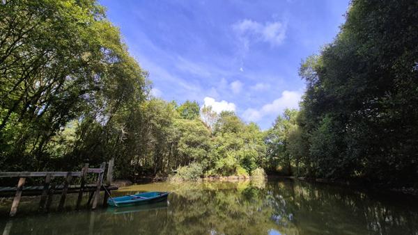 À vendre - Maison familiale de 178 m² avec terrain de 11 930 m² avec étang - Porte de SAUTRON
