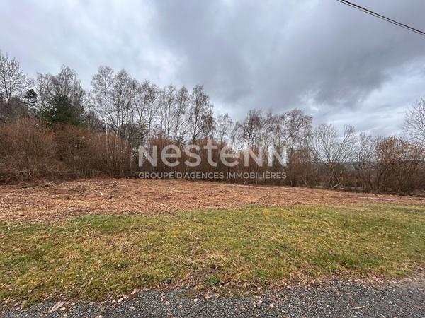 Terrain à Bâtir * 1203 M² * 19290 St Remy * 20 500  €