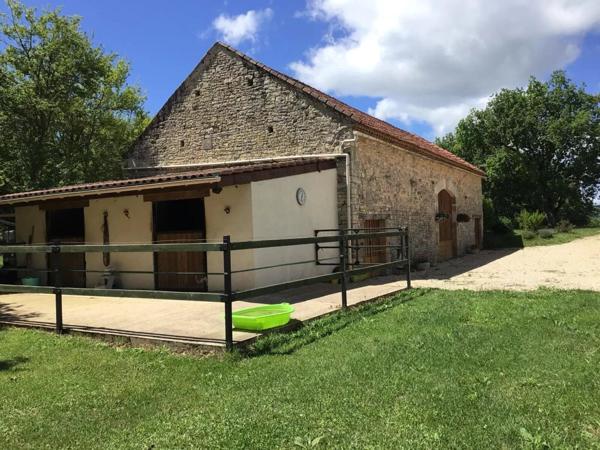 Vente Maison 11 pièces 175 m2 à Salviac