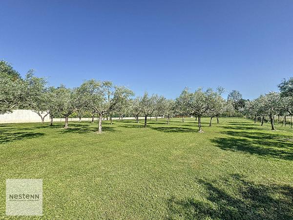 Maison de type 4 de 132m² et studio de type 2 de 35m² à Grans sur 4600m² de terrain avec piscine en pleine nature