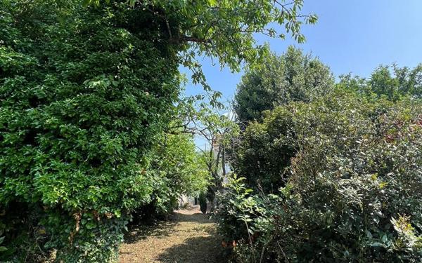 Maison à vendre    5 pièces •  Charly-sur-Marne