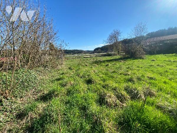 Maison en pierre de 240m² habitables sur 995m² de terrain