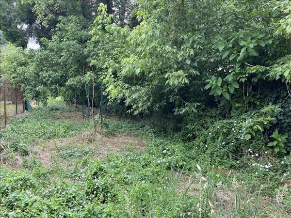 Appartement à louer |  CASTILLON LA BATAILLE |  2 pièces | 36 m²