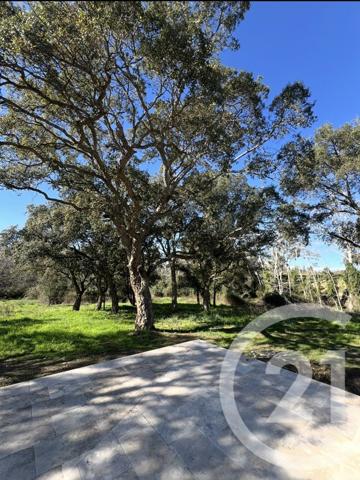 Maison à vendre  5 pièces - 81,80 m2 ALERIA - 202