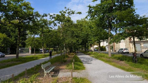 Vente / Appartement T3