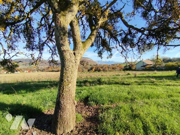 Ancien corps de feme mitoyen de 270m² de plancher et son terrain de 2190m²