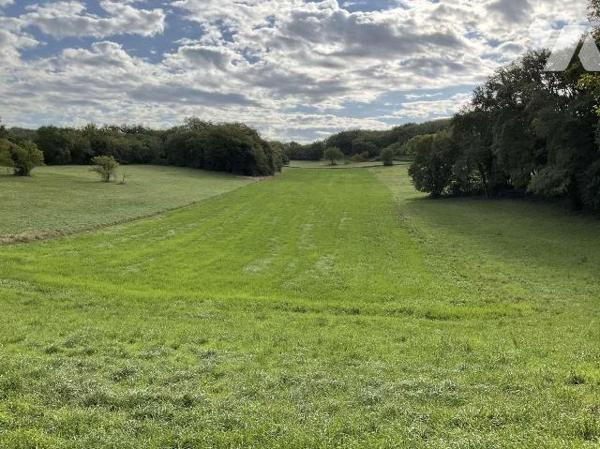 A VENDRE : Corps de ferme idéalement situé sur 3,74 hectares de terrain attenant, sans voisinag...