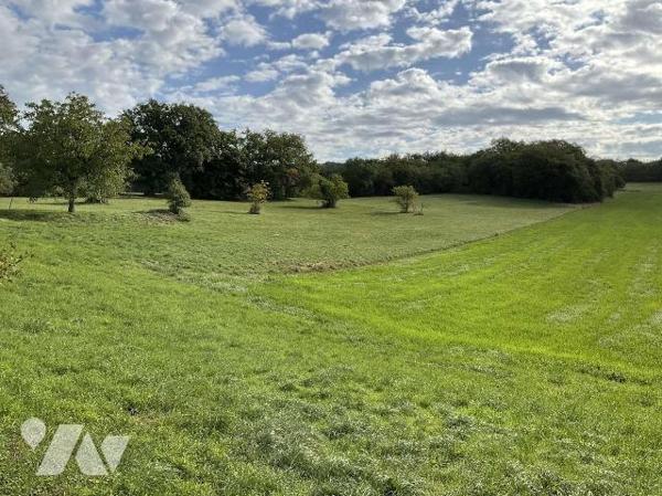 A VENDRE : Corps de ferme idéalement situé sur 3,74 hectares de terrain attenant, sans voisinag...