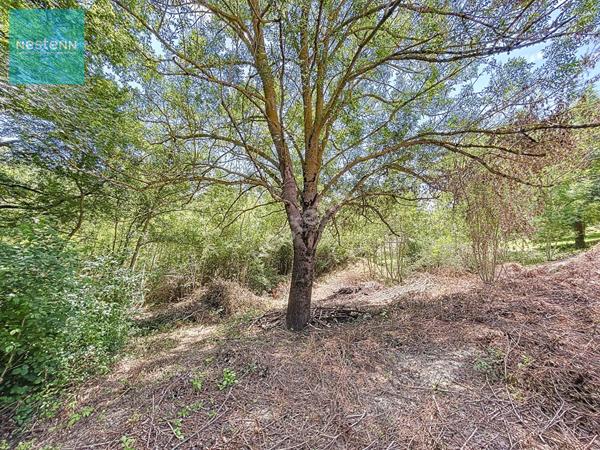 Terrain a vendre 2500m2 vue Pyrenees Nailloux 31560