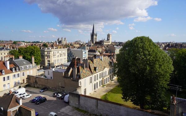 Appartement à vendre    1 pièce •  Dijon