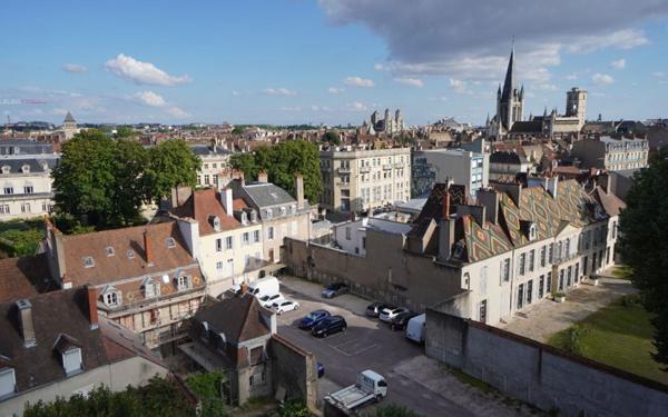 Appartement à vendre    1 pièce •  Dijon