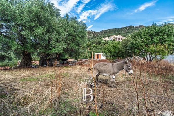 Calvi, Villa 5 Chambres -  205 m² à vendre