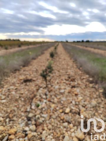 Terrain à vendre 