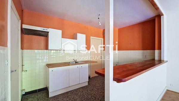 Vieux-Lille - T2 de 71 m² à conforter - rez-de-jardin sud-ouest, balcon, garage et cave