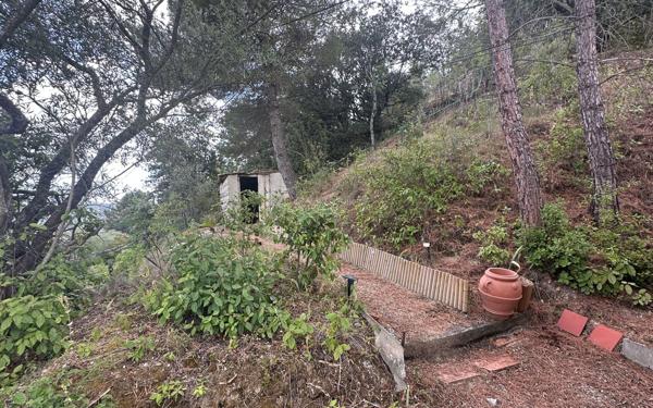 Maison à vendre    4 pièces •  Limoux