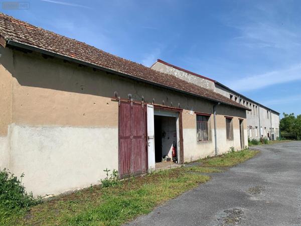Local professionnel à vendre à Palluau-sur-Indre dans l'Indre (36500), ref : 1049286