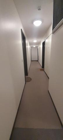 appartement type 3 dans immeuble récent