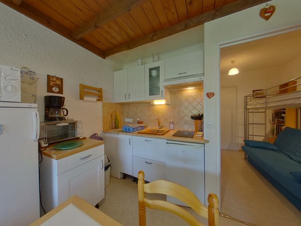 GRAND STUDIO EXPOSITION SUD + CAVE - BARCELONNETTE