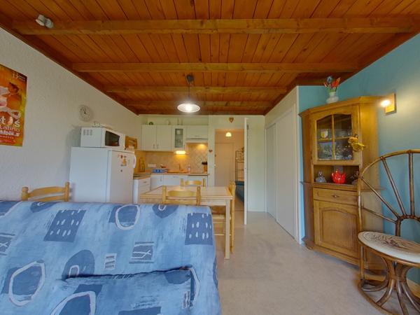 GRAND STUDIO EXPOSITION SUD + CAVE - BARCELONNETTE