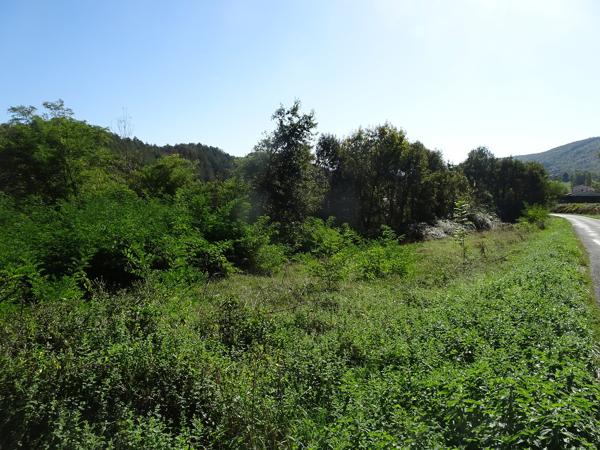 Terrain à vendre proche Le Mas-d'Azil