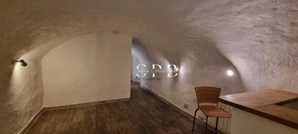 Aix-en-Provence (13100) APPARTEMENT ATYPIQUE