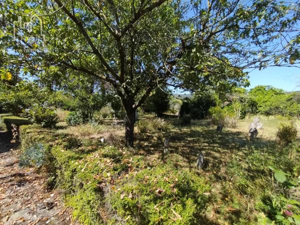 Vente Maison 150 m2 à Saint-Affrique