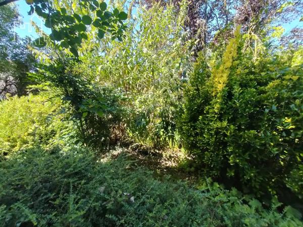 Vente Maison 150 m2 à Saint-Affrique