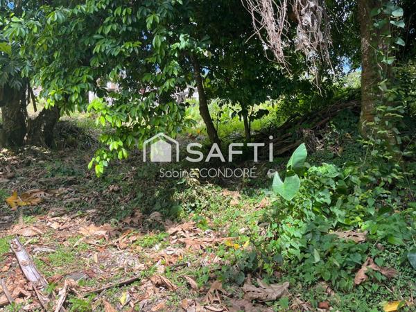 En exclsusivité - Terrain à bâtir de 1563 m² avec vue sur mer - Bellevue Lamentin