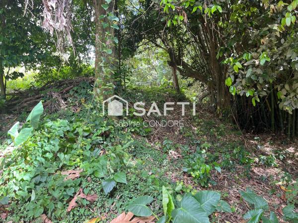 En exclsusivité - Terrain à bâtir de 1563 m² avec vue sur mer - Bellevue Lamentin