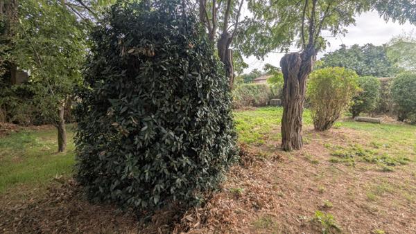 Maison  8 pièce(s)  6 chambre(s)  205 m²