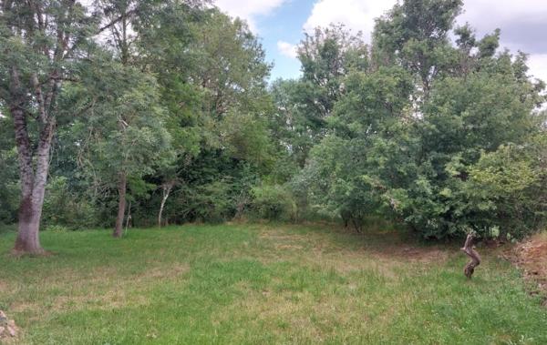 Vente Maison De campagne à rafraîchir Clugnat