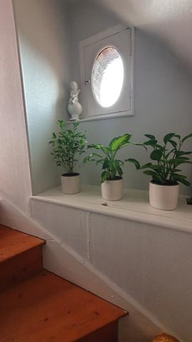 Nogent-le-Roi (28210) Nogent le Roi, maison de village 5 pièces en vente