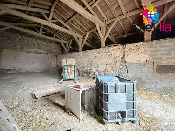 Le Coteau (42120) A VENDRE - SECTEUR PROCHE DU COTEAU - GRANGE À FORT POTENTIEL POUR HABITATION HORS NORMES