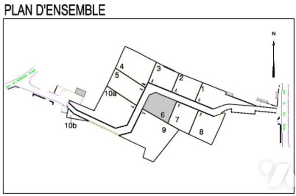 Terrain
