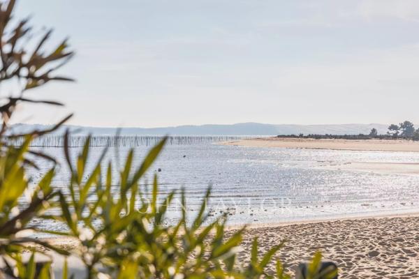 CONFIDENTIEL - Cap Ferret 1ère Ligne - Villa d'Exception - John Taylor