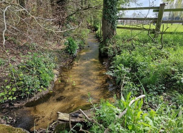 Propriete à vendre 7 pièces LANDEHEN (22)