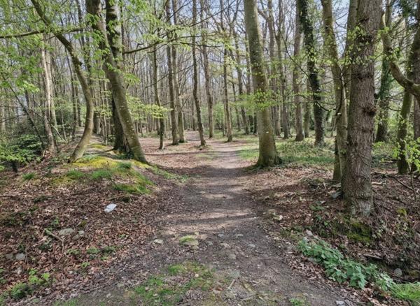 Propriete à vendre 7 pièces LANDEHEN (22)