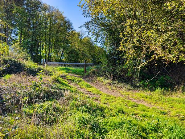 Lacs à vendre à La Croisille-sur-Briance (87130) - Haute-Vienne