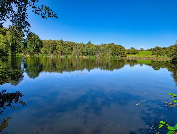Lacs à vendre à La Croisille-sur-Briance (87130) - Haute-Vienne