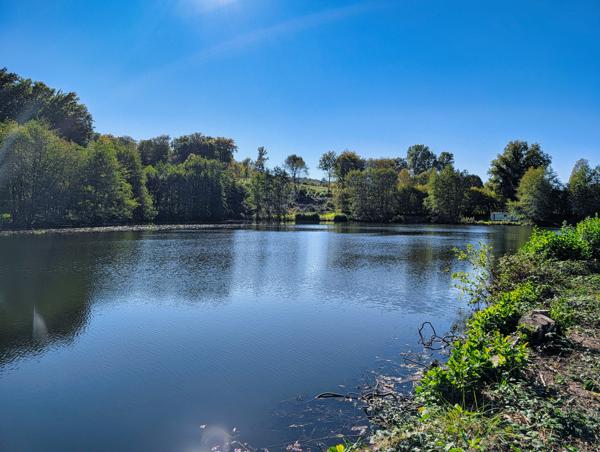 Lacs à vendre à La Croisille-sur-Briance (87130) - Haute-Vienne