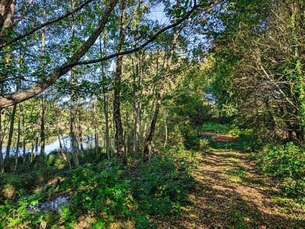 Lacs à vendre à La Croisille-sur-Briance (87130) - Haute-Vienne
