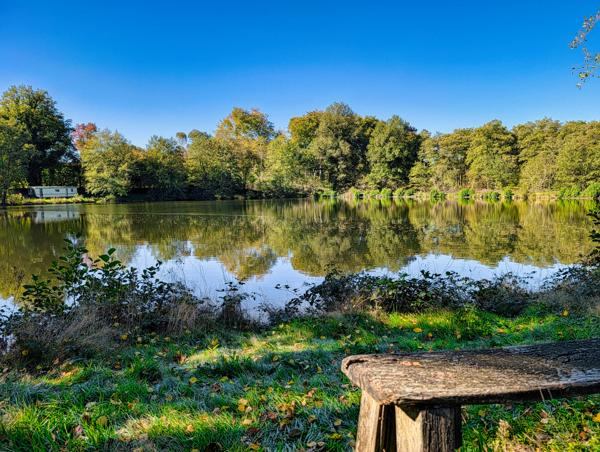 Lacs à vendre à La Croisille-sur-Briance (87130) - Haute-Vienne