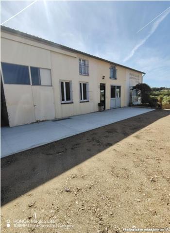 41170, locaux d'activité sur 500m2 avec grand appartement divisible