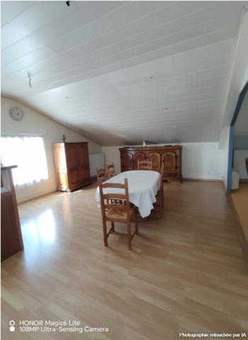 41170, locaux d'activité sur 500m2 avec grand appartement divisible