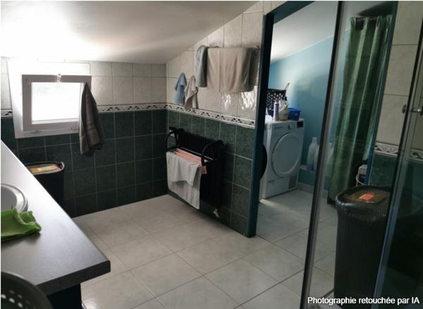 41170, locaux d'activité sur 500m2 avec grand appartement divisible