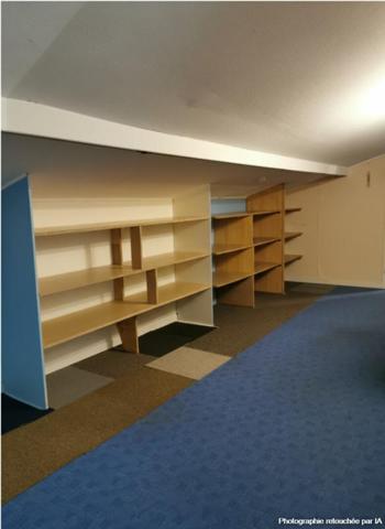 41170, locaux d'activité sur 500m2 avec grand appartement divisible