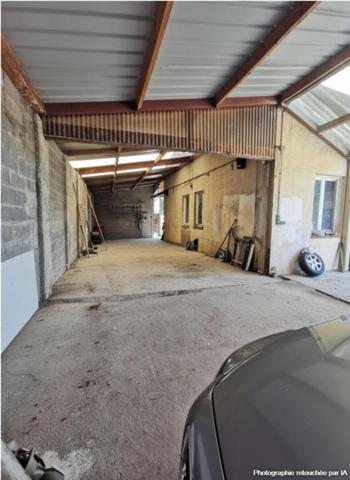 41170, locaux d'activité sur 500m2 avec grand appartement divisible