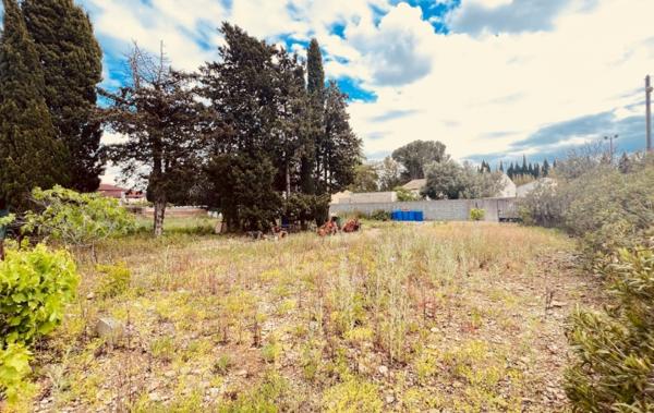 Vente Terrain Argeliers   