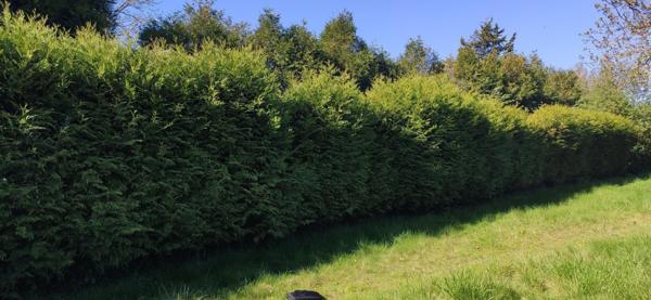 Construisez la maison de vos rêve sur un terrain idéal à BRETAGNOLLE.